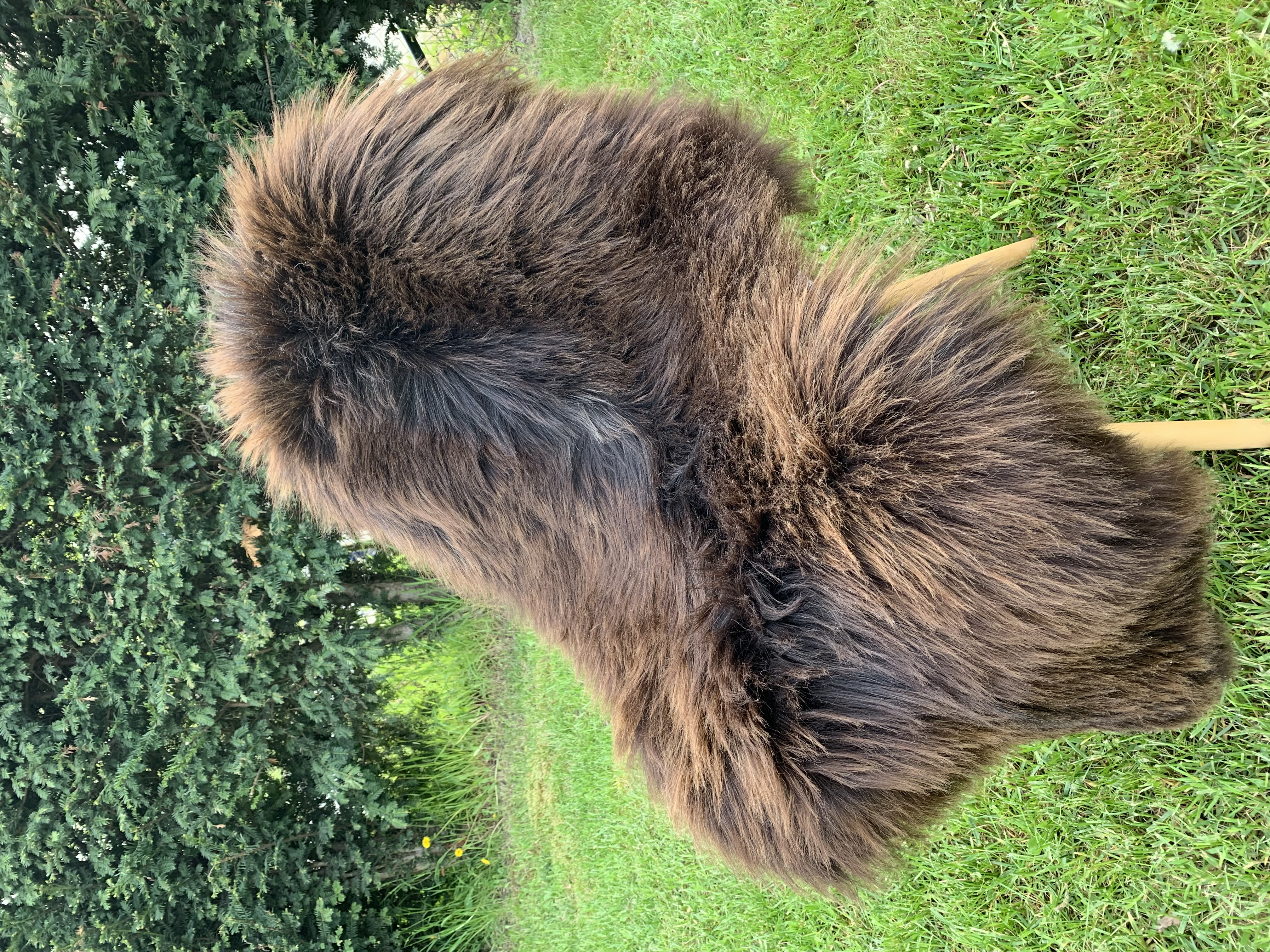 Fårskinn - Heidschnucke - heidschnucke-adam-leather-sheepskin