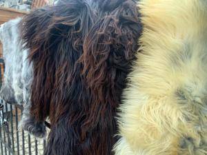 Fårskinn - Heidschnucke - sheepskinadamleather