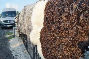 Fårskinn - Svenska - swedish-sheepskins1