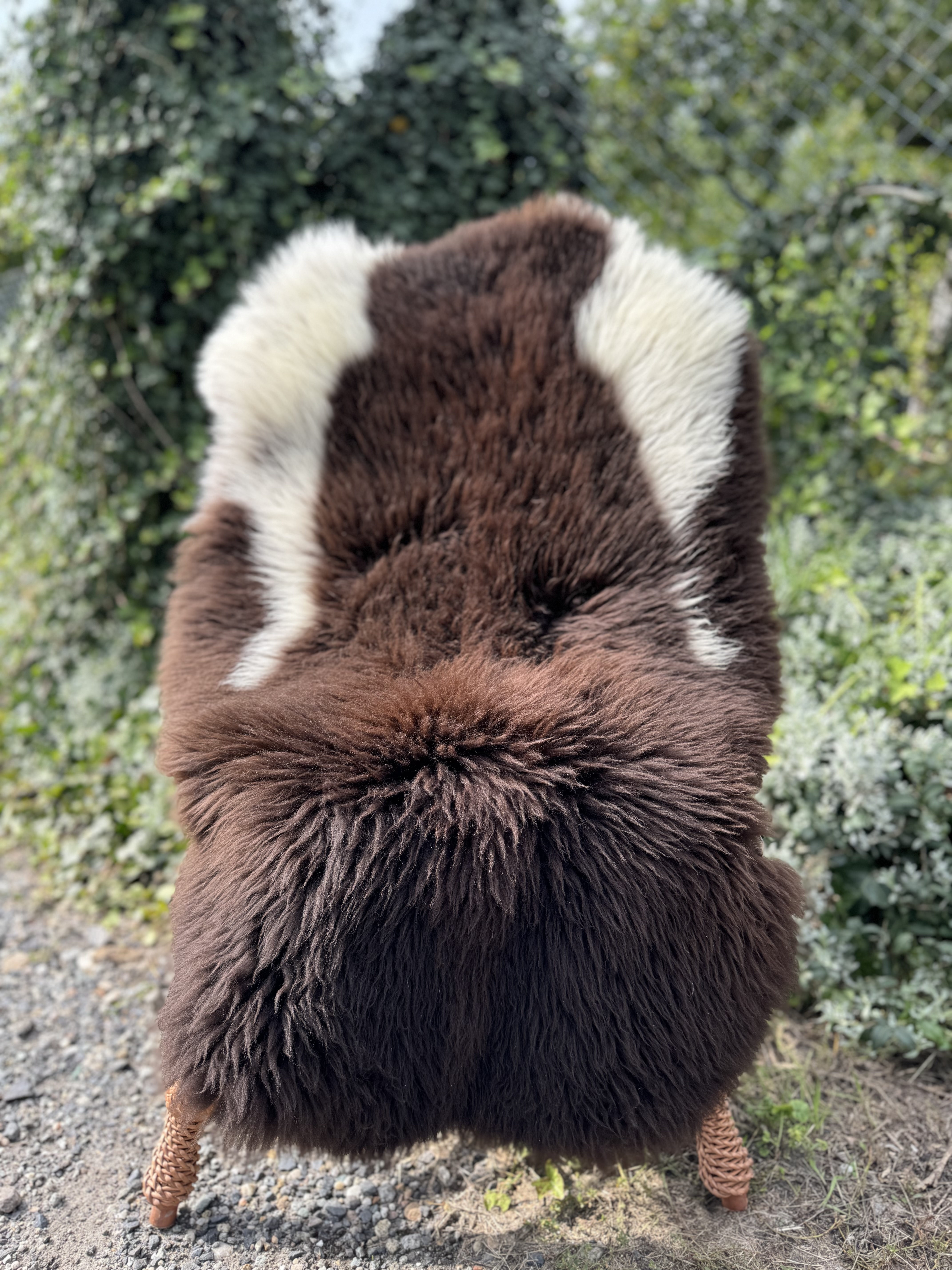 Fårskinn - Svenska - szwedzkie-skry-owcze-swedish-sheepskins-schwedische-schaffelle-zweedse-schapenvachten-peaux-de-mouton-sudoises3