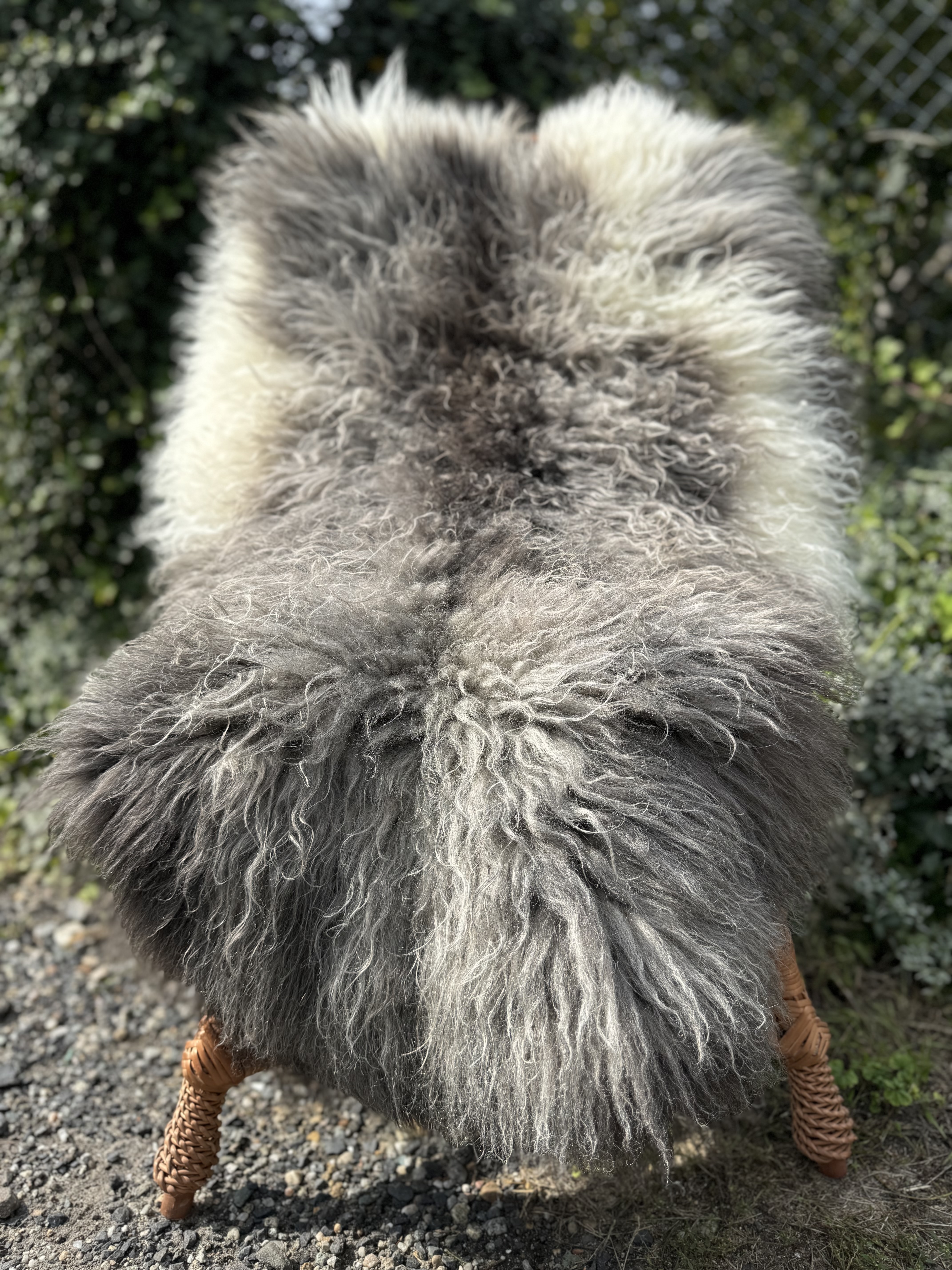 Fårskinn - Svenska - szwedzkie-skry-owcze-swedish-sheepskins-schwedische-schaffelle-zweedse-schapenvachten-peaux-de-mouton-sudoises