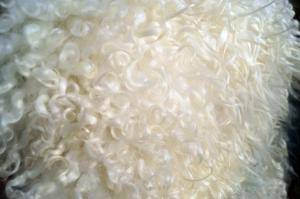 Fårskinn - Gotland - unique-fluffy-sheepskin-gotland