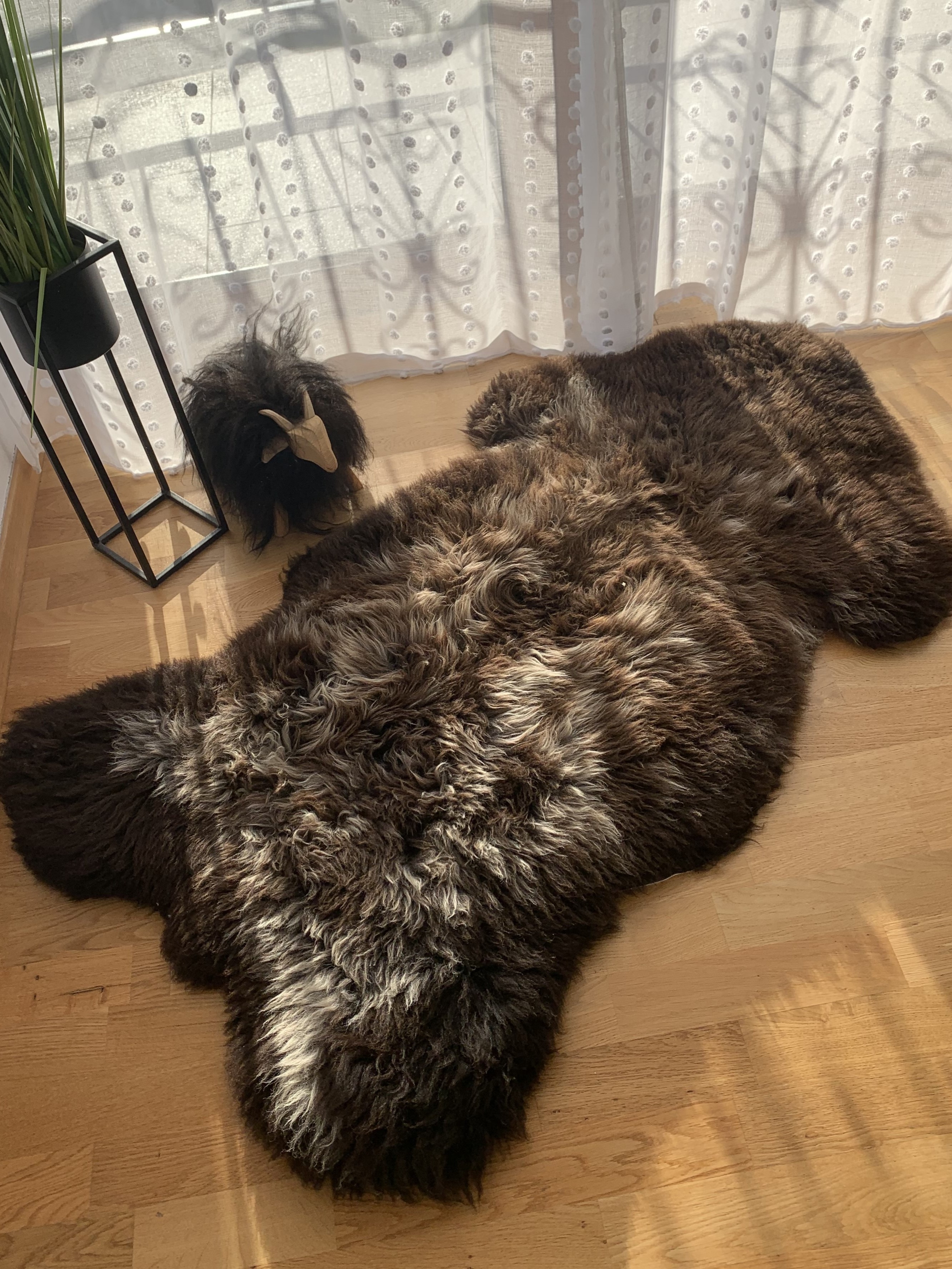 Fårskinn -  Fårskinn - texelbrown