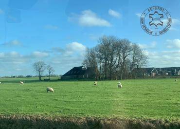 Fårskinn - Naturligt fårskinn, ull, päls - en mängd olika former, lyxiga texturer, rika färger! Detta är bara några få funktioner som gör Our Sheepskins till en unik 100 % naturlig produkt!