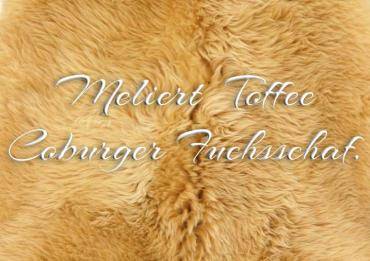Fårskinn - Meliert Toffee - Coburg rävfåret