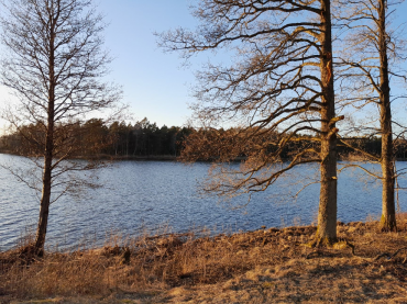 Fårskinn - Vi ska på affärsresa till kunder från Sverige!