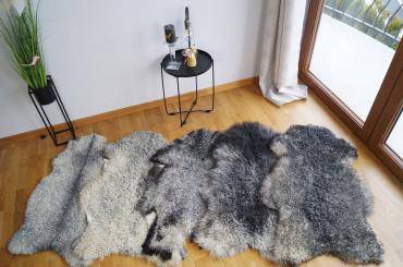 Fårskinn - Ett unikt paket med 50 gotländska fårskinn!