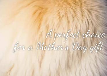 Fårskinn - Naturligt fårskinn är ett perfekt val för en mors dag-present.