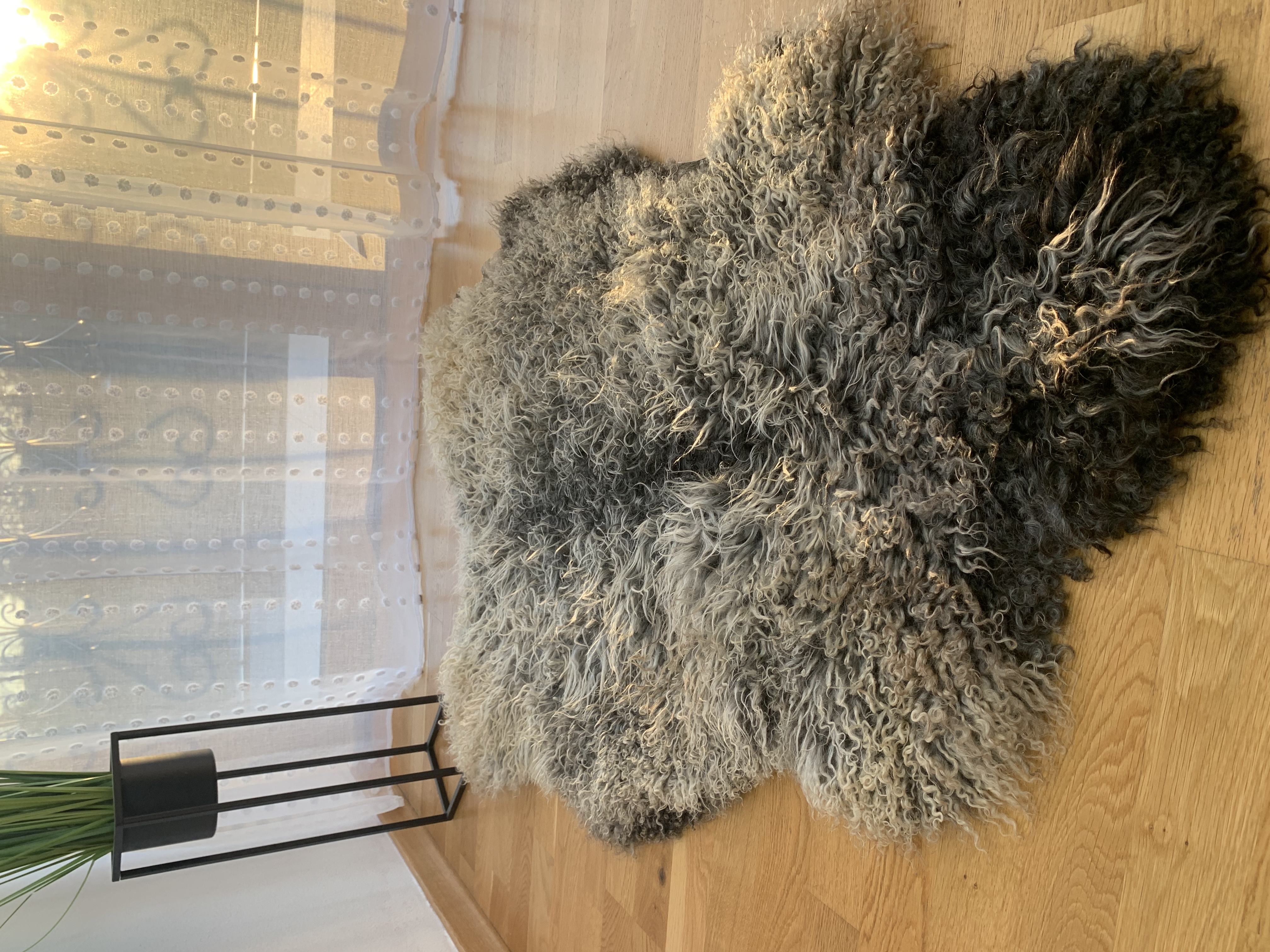 Fårskinn - Fårskinn Gotland Adam Läder