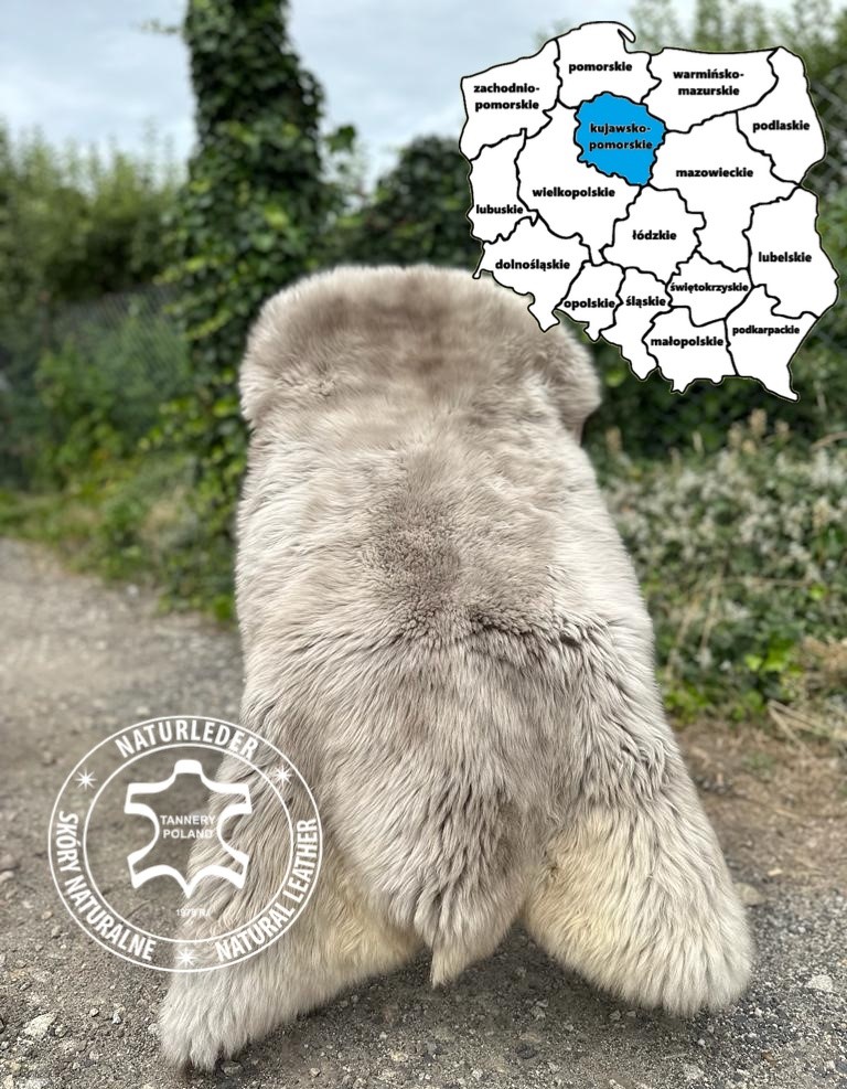 Fårskinn - Fårskinn från Bydgoszcz, Kuyavian-Pomeranian Voivodeship, Polen