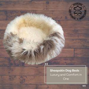 Fårskinn - Hundbäddar av fårskinn – Lyx och komfort i ett