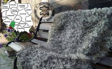 Fårskinn - Vackra fluffiga fårskinn - garveri, Opole Voivodeship - Polen
