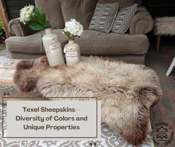 Fårskinn - Texelfårskinn – Färgvariation och unika egenskaper