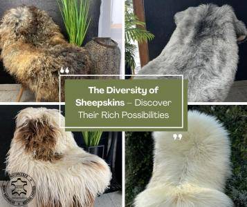 Fårskinn - Mångfalden av fårskinn – upptäck deras många användningsområden