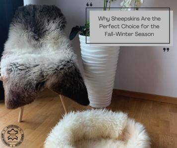 Fårskinn - Varför fårskinn är det perfekta valet för höst- och vintersäsongen